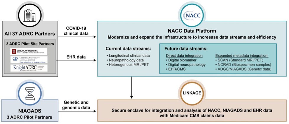 COVID-19 data platform