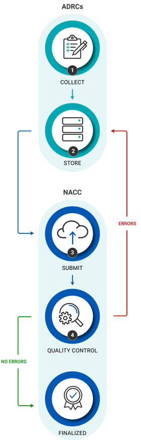 Data Submission Workflow